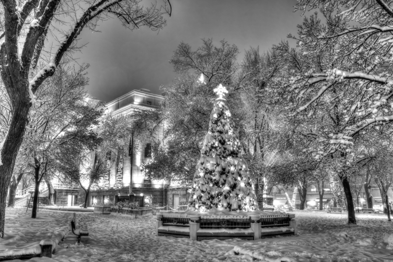 Christmas Tree Monochrome