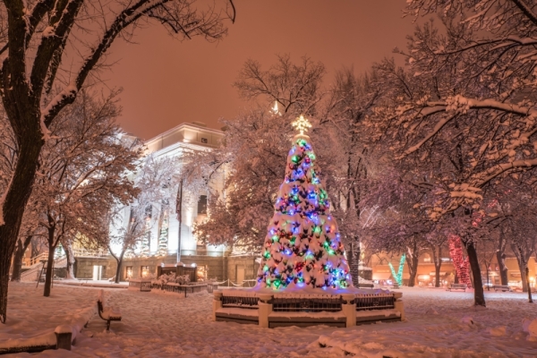 Christmas Tree Monochrome