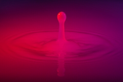 bouncing droplet