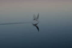 Ghost-Flyer