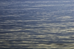Blue Watters