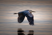 Grace in Motion
