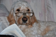 Reading Time