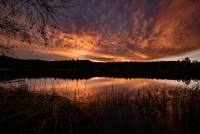 Lynx Lake Sunset