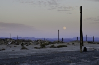 Salton Sea 025