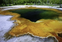 Yellowstone 2011-0142