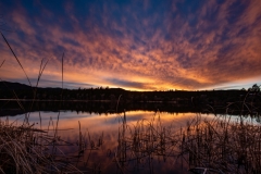 Lynx Lake Sunset