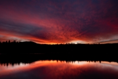 Lynx Lake Sunset