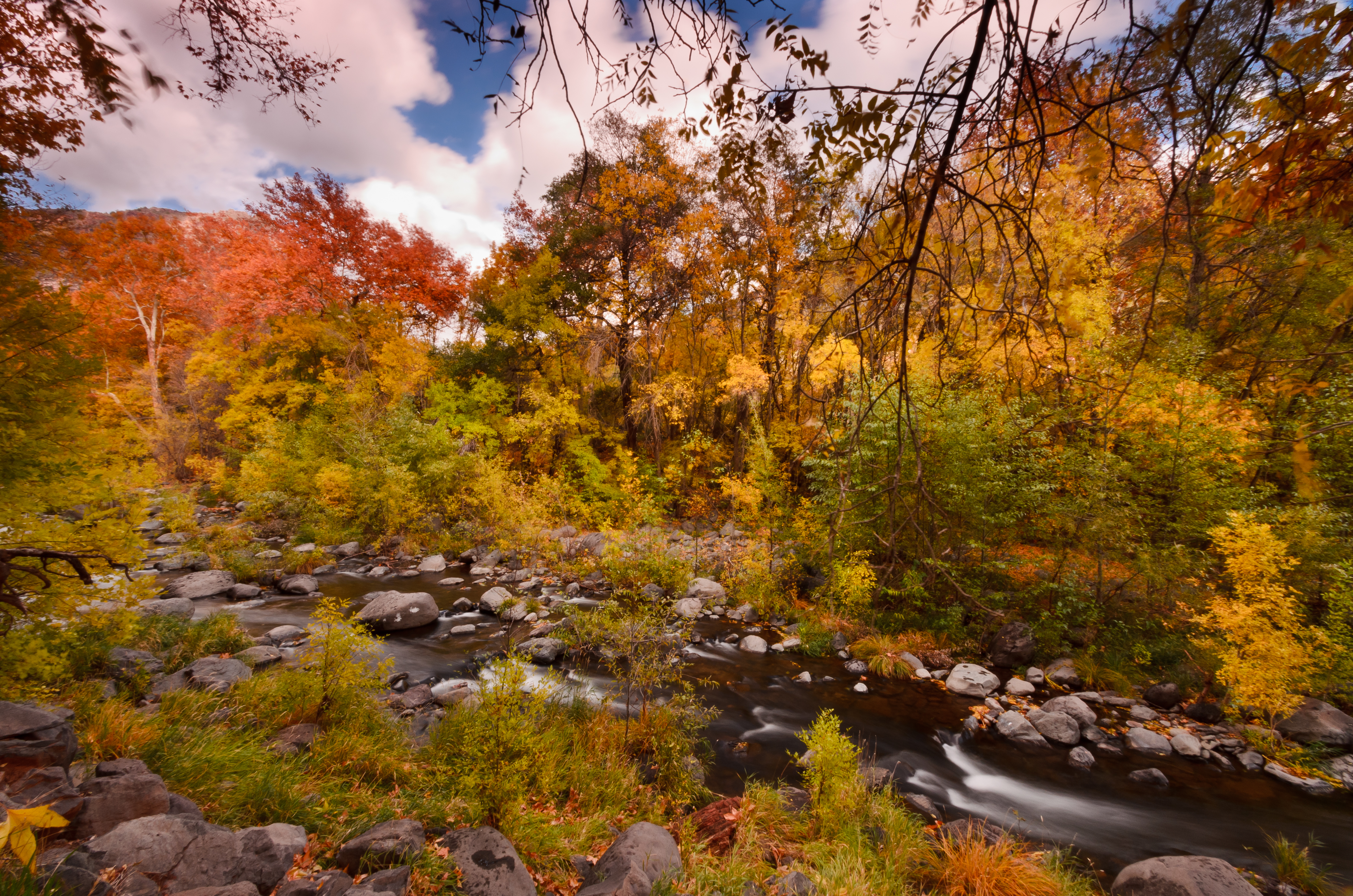 Autumn at Oak Creek