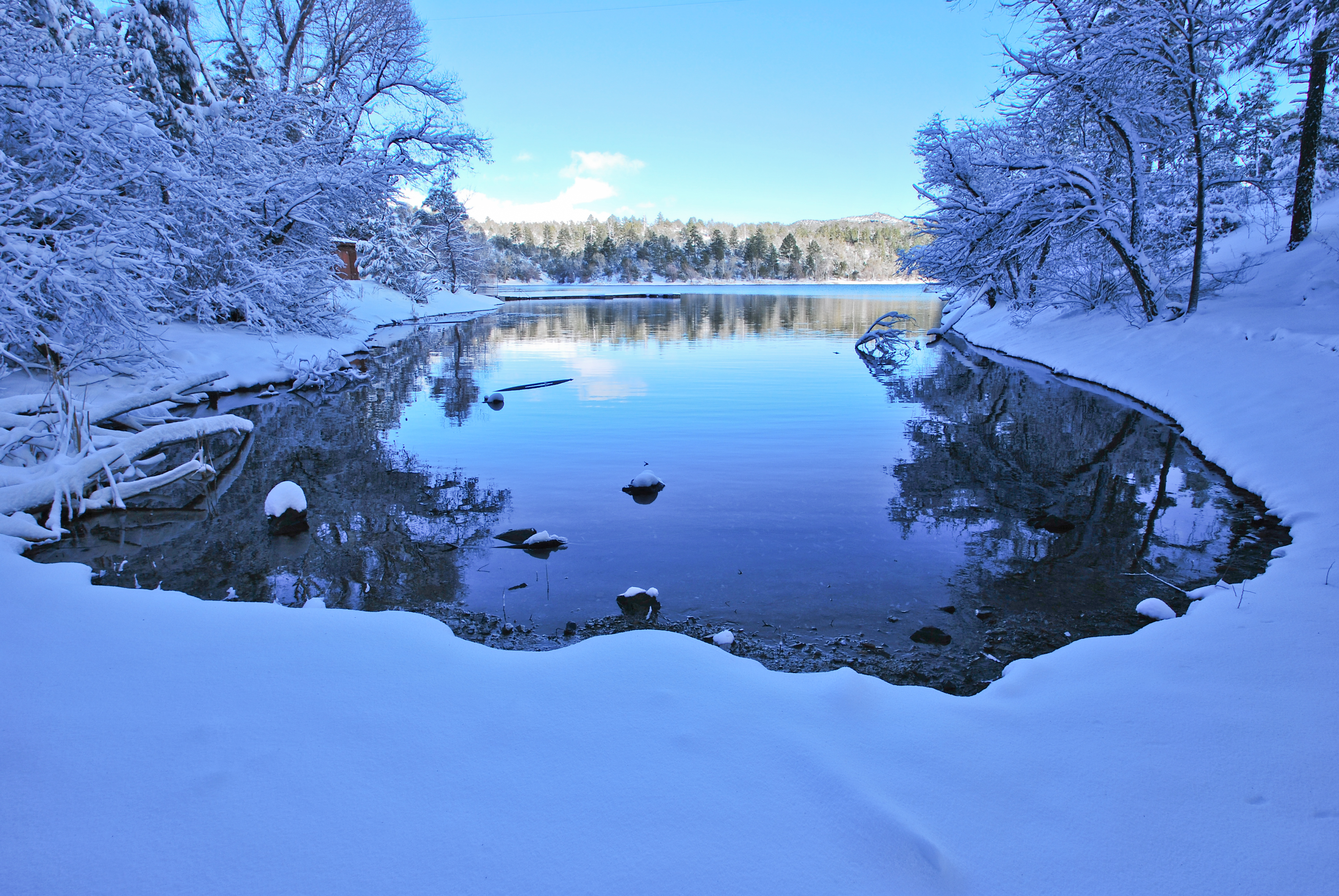 Fresh Snow