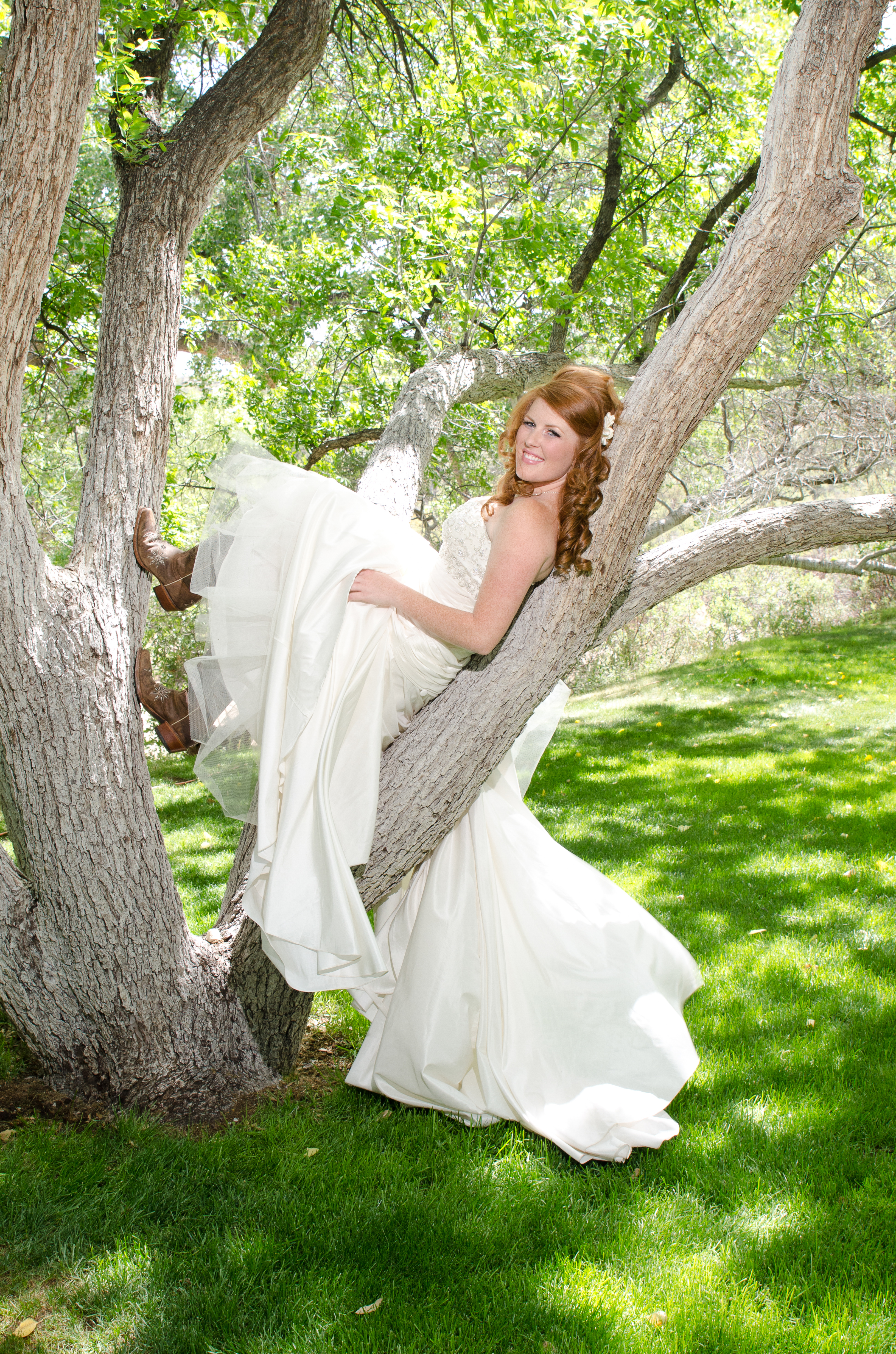 Bride in the Tree