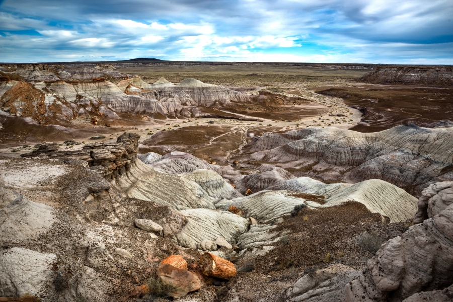 Photographing The Petrified Forest