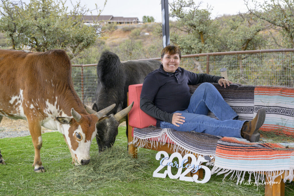 Senior portrait on a couch with two cuddle cows